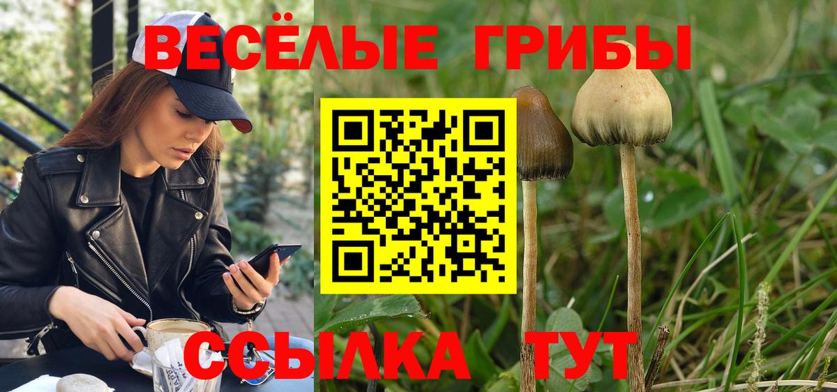 Анапа  Псилоцибиновые грибы GOLDEN TEACHER  Галлюциногенные грибы Psilocybe  Вход с VPN 
